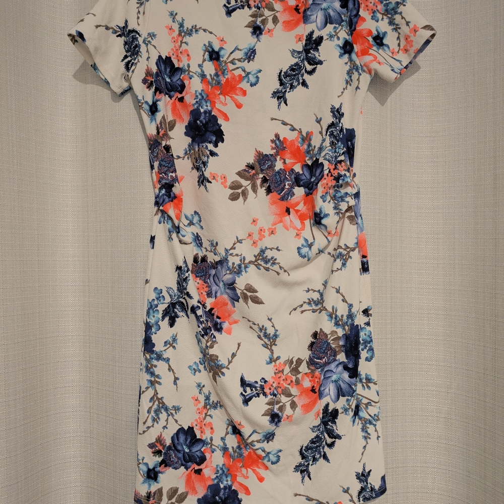 Pinkblush Floral Mini Dress in Blue and Red